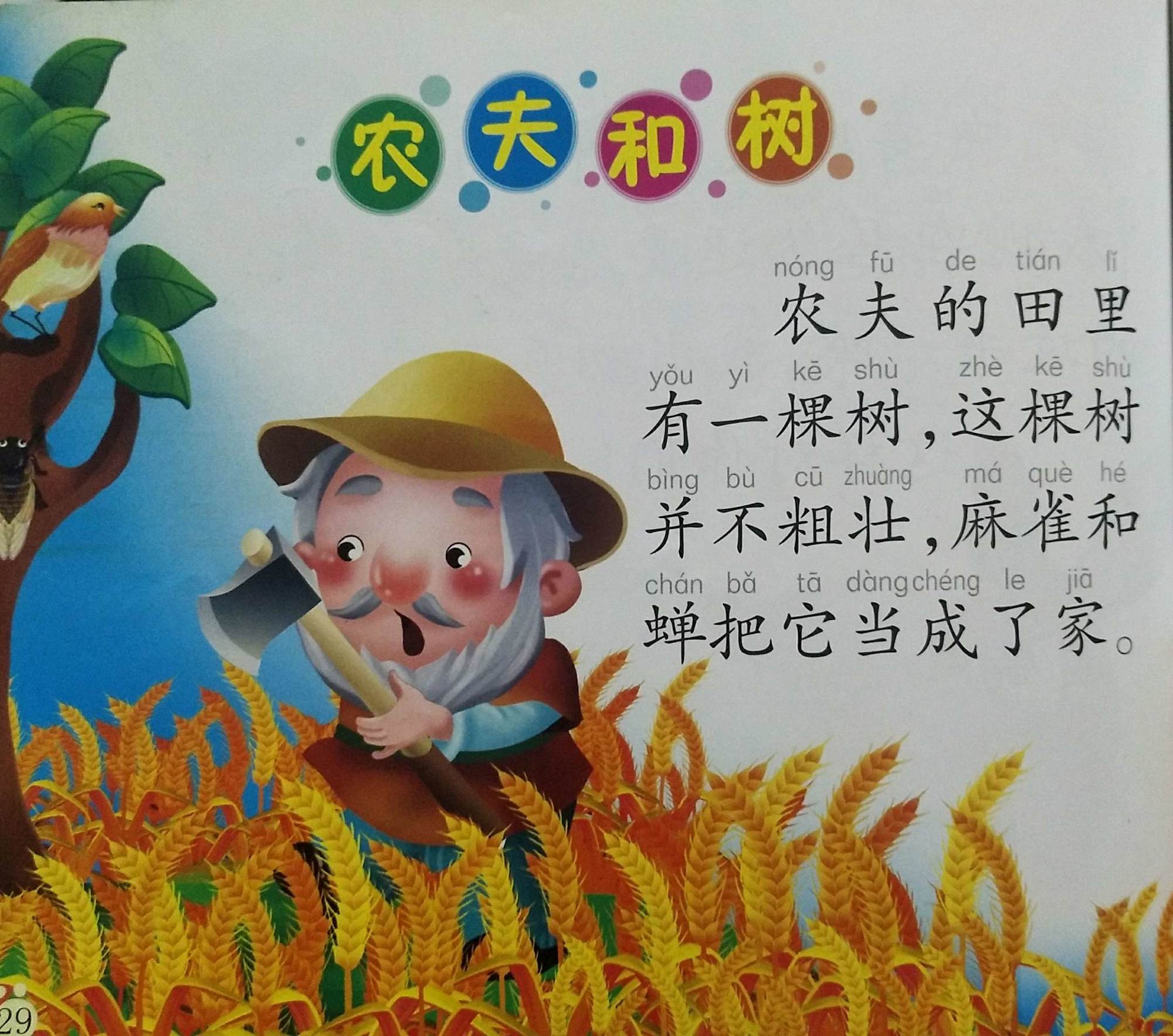 家門前有樹是不是不好的_家門前有棵樹怎么化解_我家門前有兩棵樹
