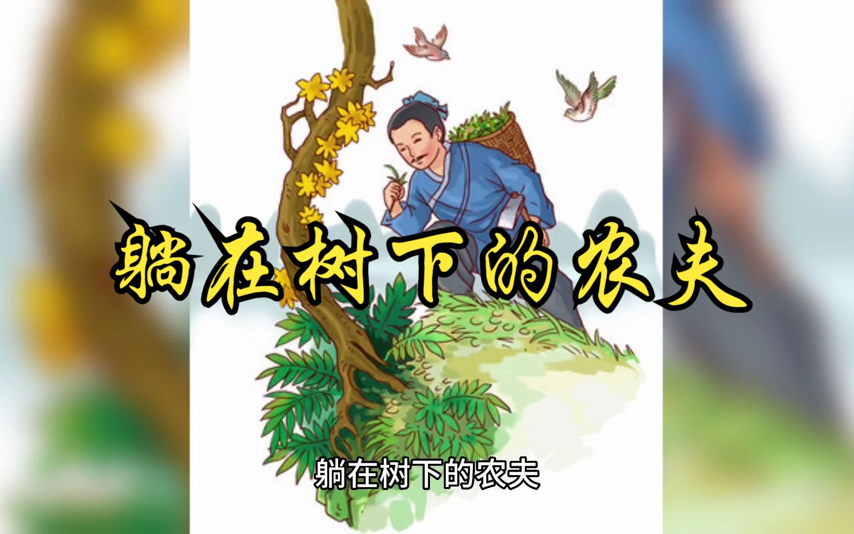 家門前有樹是不是不好的_家門前有棵樹怎么化解_我家門前有兩棵樹
