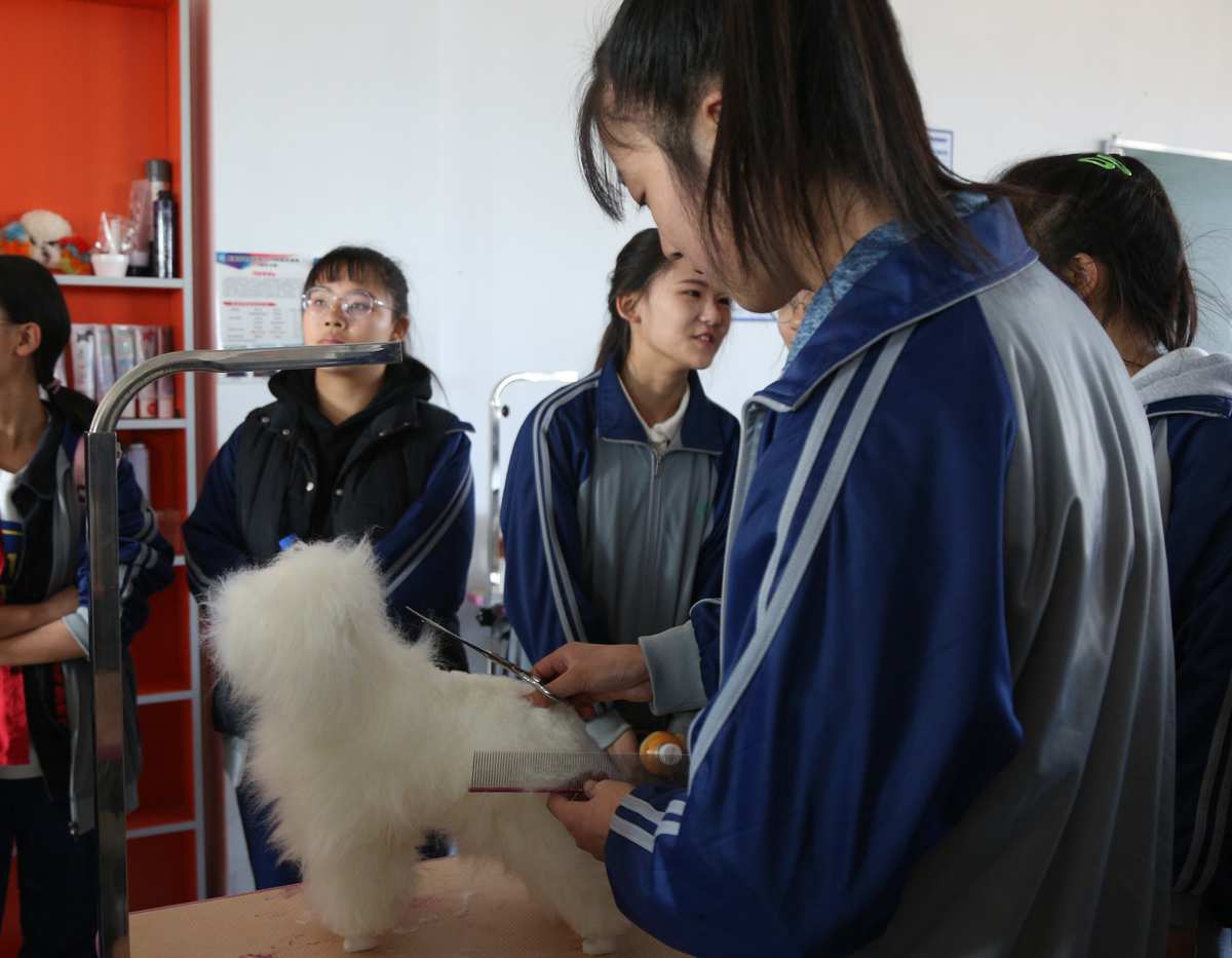 北京信息職業(yè)技術(shù)學(xué)院如何_北京信息職業(yè)技術(shù)學(xué)院本校區(qū)_北京信息職業(yè)技術(shù)學(xué)院怎么樣