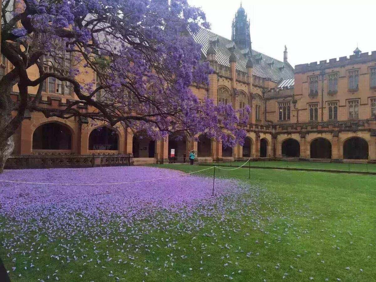 愛爾蘭國家學院全球排名_愛爾蘭大學學院_愛爾蘭三一學院