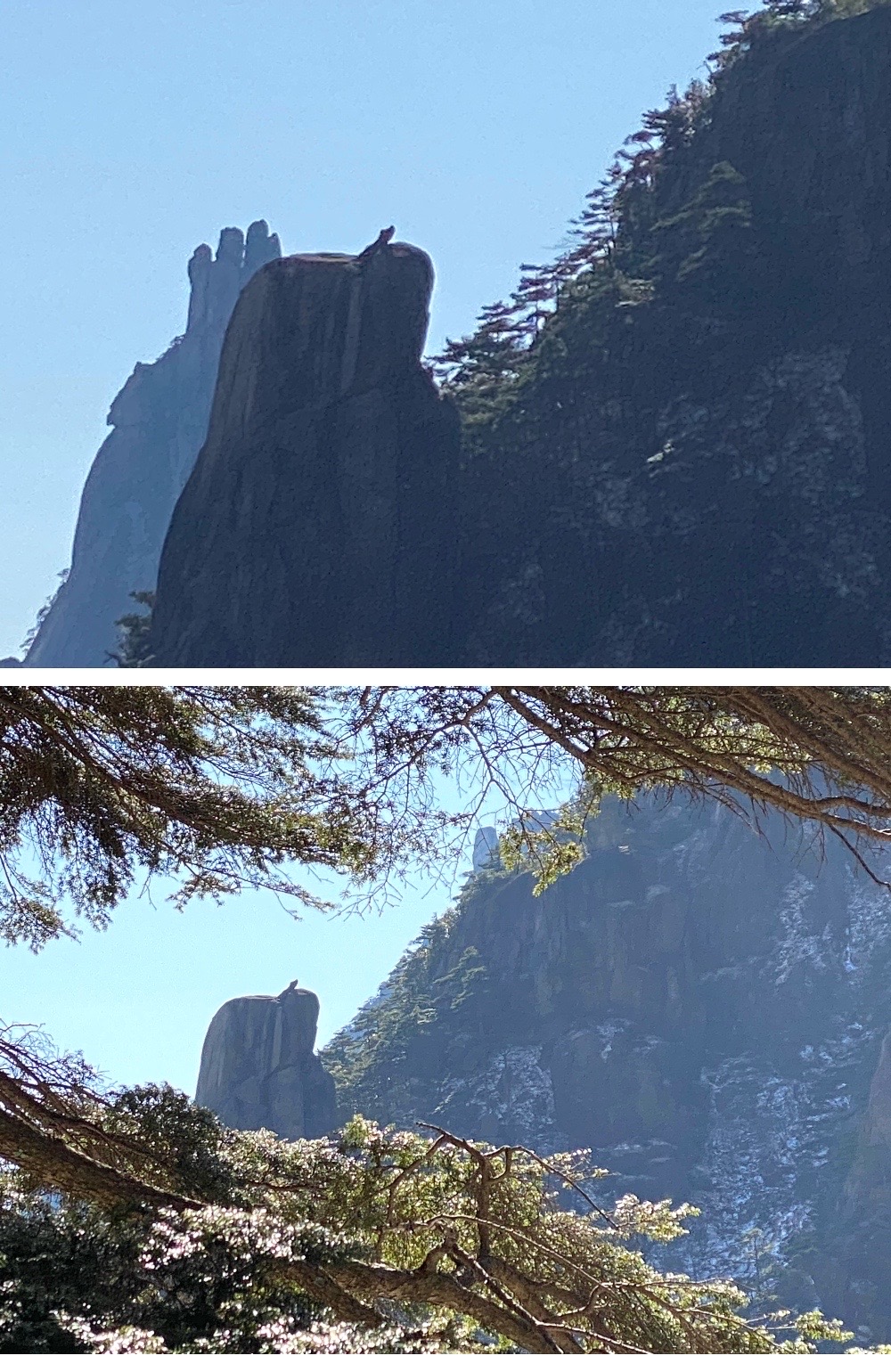 黃山望月天狗圖片欣賞_黃山天狗望月圖片_黃山望月天狗圖片高清