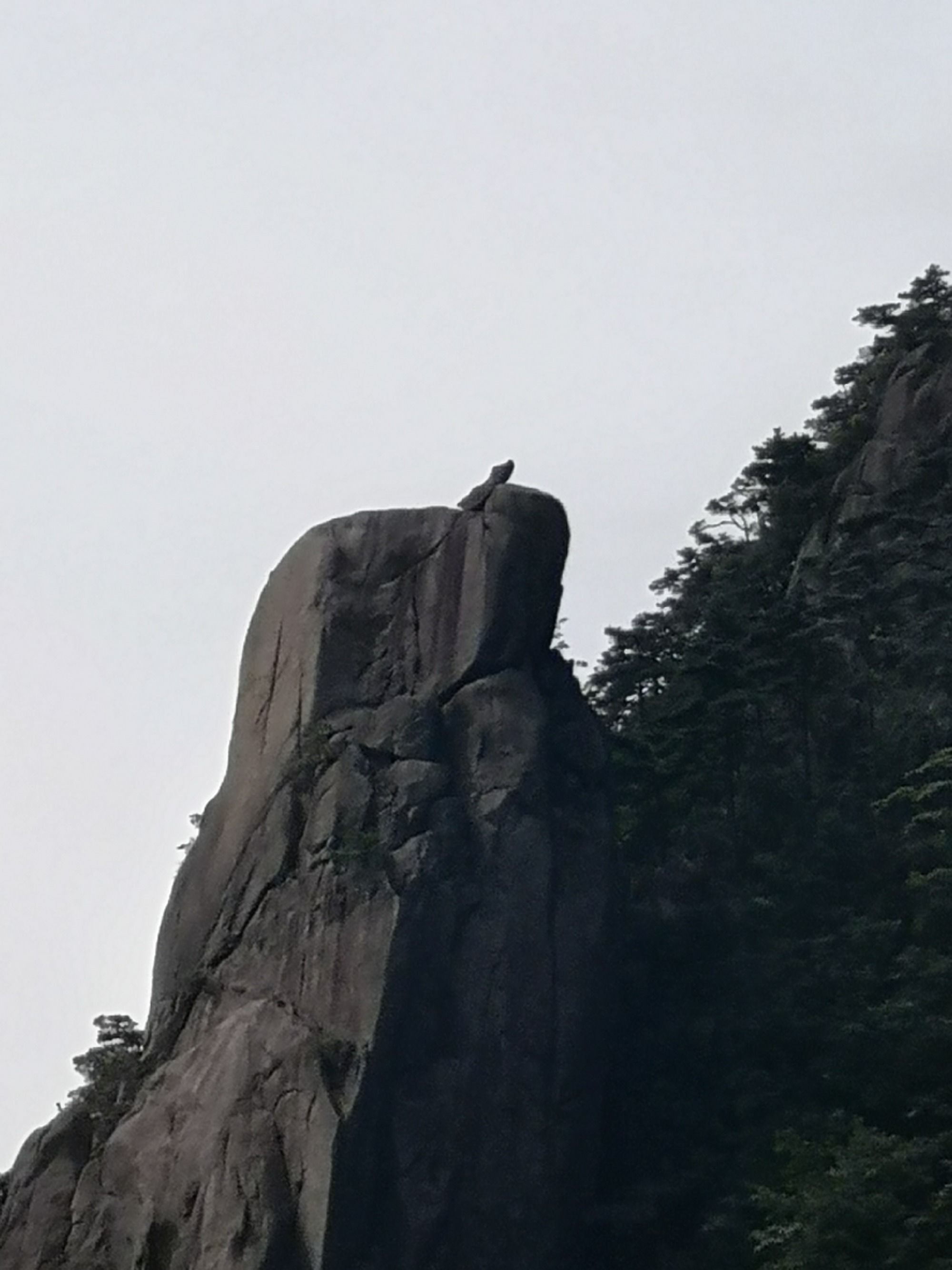 黃山天狗望月圖片_黃山望月天狗圖片高清_黃山望月天狗圖片欣賞