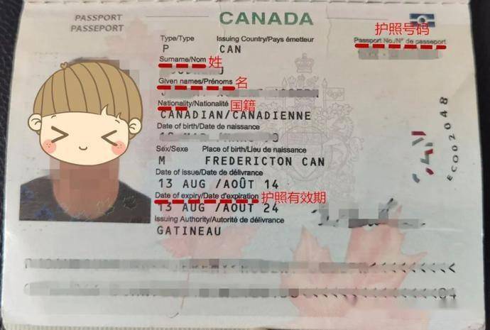 澳洲外教留學生多嗎_澳洲留學生和老外_澳洲留學生和外教