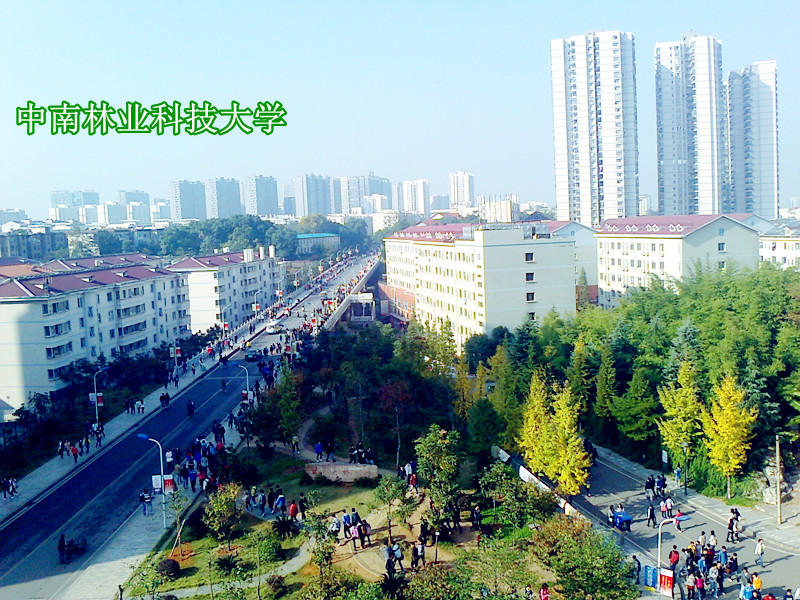 中南林業科技大學專科院校_中南林業科技大學專科_中南林業科技大學里的專科