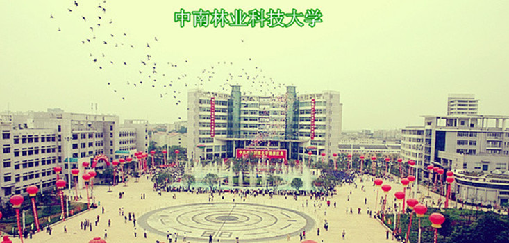 中南林業科技大學里的專科_中南林業科技大學專科院校_中南林業科技大學專科