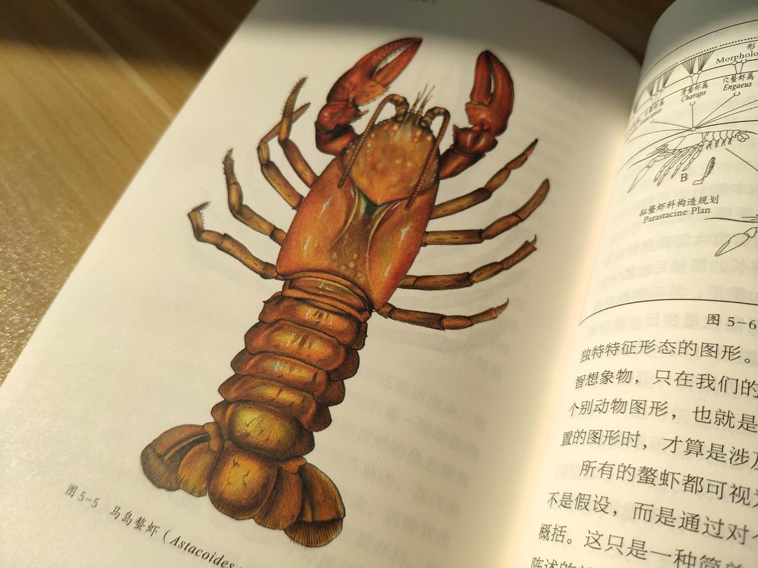 新加坡美食特色用英語介紹_新加坡美食特色介紹_新加坡的特色美食