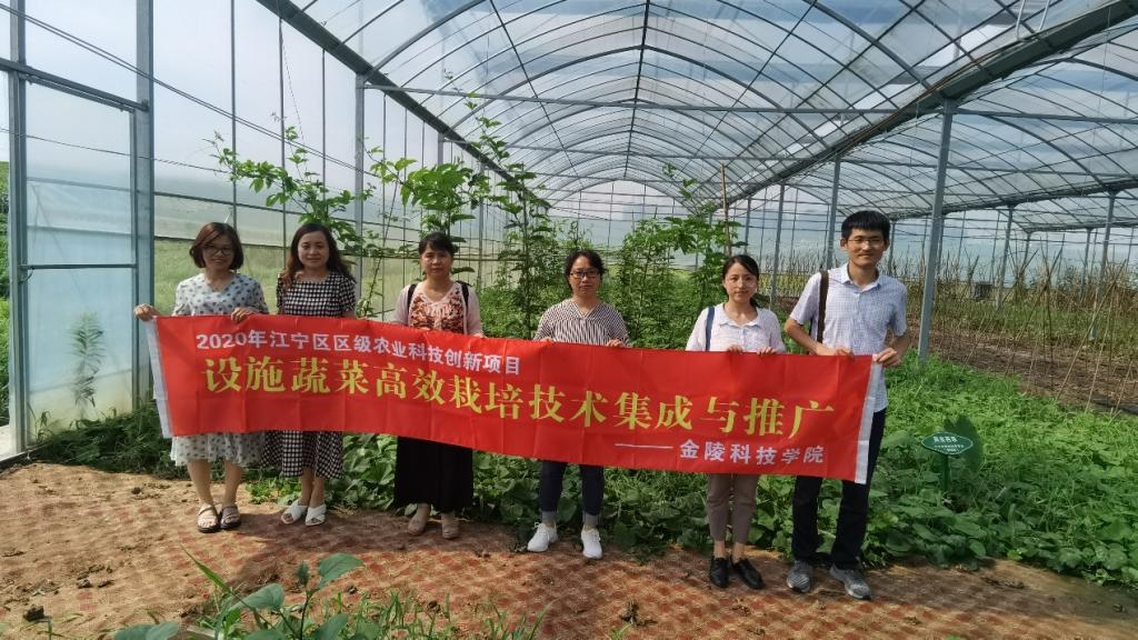 無土栽培培訓班_無土栽培技術培訓學校_無土栽培技術培訓班