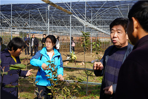 無土栽培培訓班_無土栽培技術培訓學校_無土栽培技術培訓班