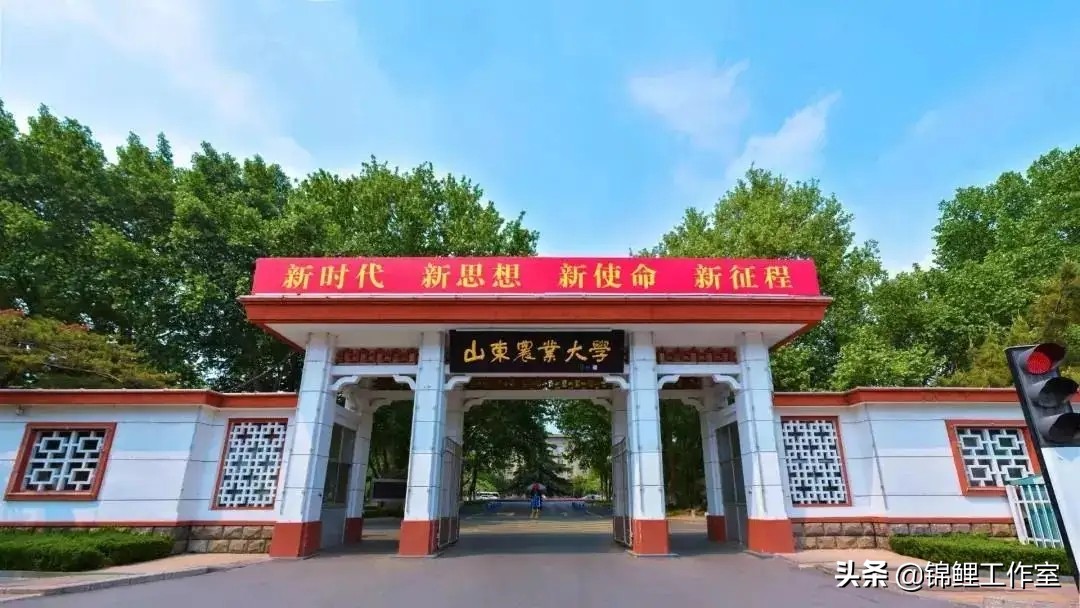美國德州大學_德州大學美國排名_美國德州大學世界排名