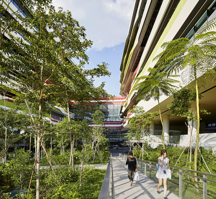 新南威爾士大學_新南威爾士大學_新南威爾士大學