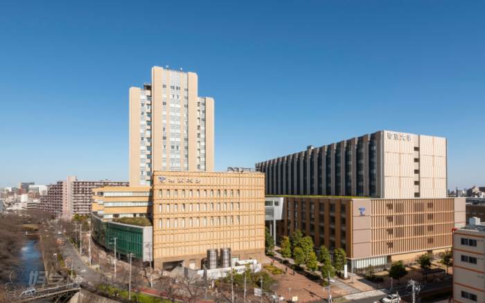 美國(guó)大學(xué)國(guó)際大一是什么意思_國(guó)外大學(xué)學(xué)的東西比國(guó)內(nèi)少嗎_美國(guó)國(guó)際東西方大學(xué)