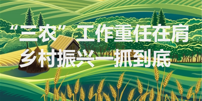 新西蘭國家概況_新西蘭國家概況重點總結_新西蘭國家概況介紹
