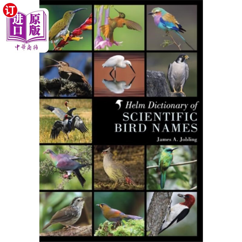 av鳥怎么讀_鳥讀法英語_鳥讀英語怎么讀