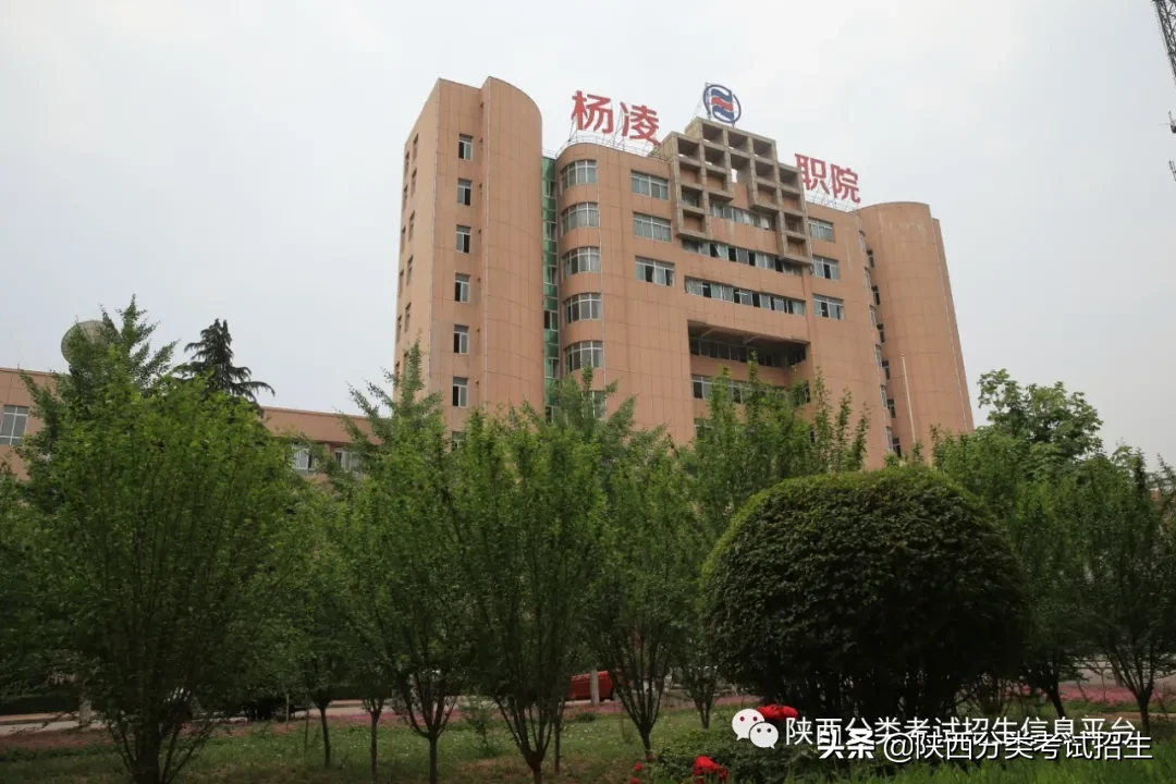 楊凌職業技術學院的代碼_楊凌職業學院專業代碼_楊凌職業技術學院代碼