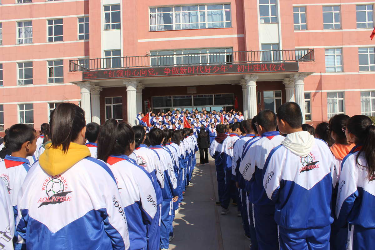 小學少先隊工作計劃2019_小學少先隊計劃與活動計劃_小學少先隊工作計劃