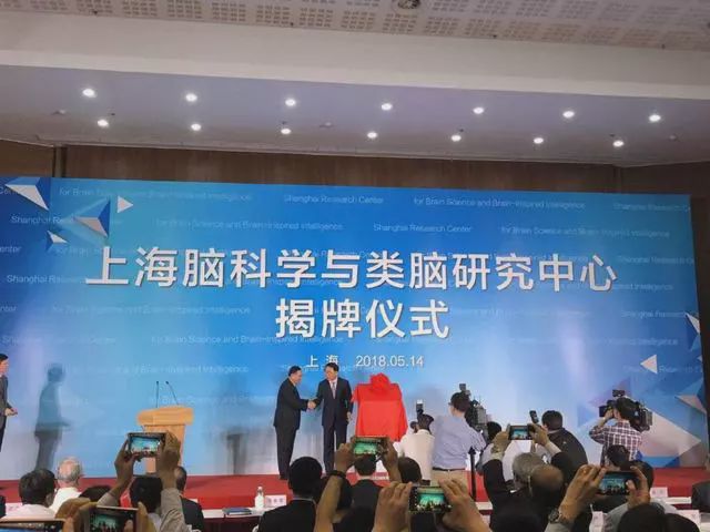 行為神經科學_行為神經科學_行為神經科學