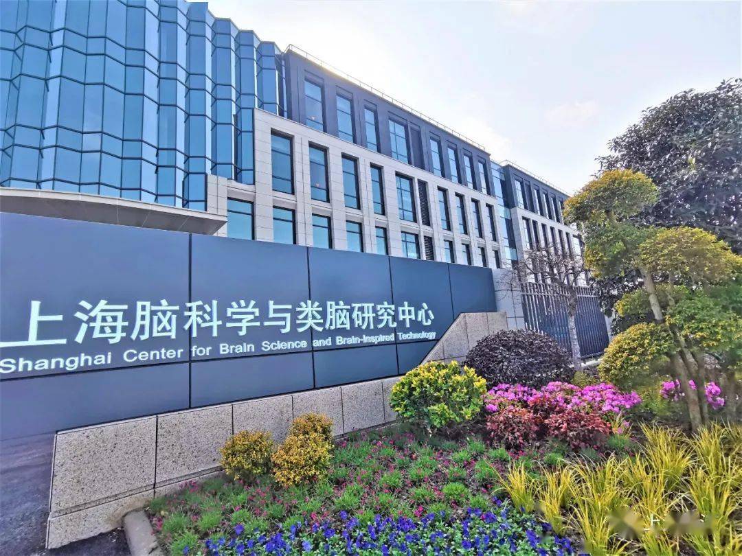 行為神經科學_行為神經科學_行為神經科學