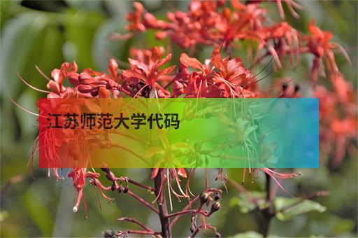 上饒師范學院數學專業分數線_上饒師范學院分數線_上饒師范學院2021年分數線