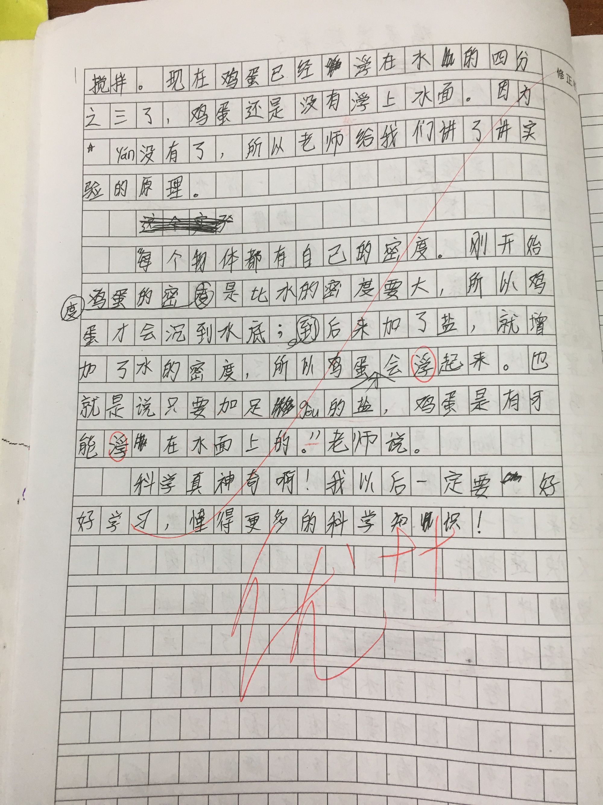 鹽水浮雞蛋的實驗作文300字_鹽水浮雞蛋的作文怎么寫三百字_鹽水浮雞蛋300字作文