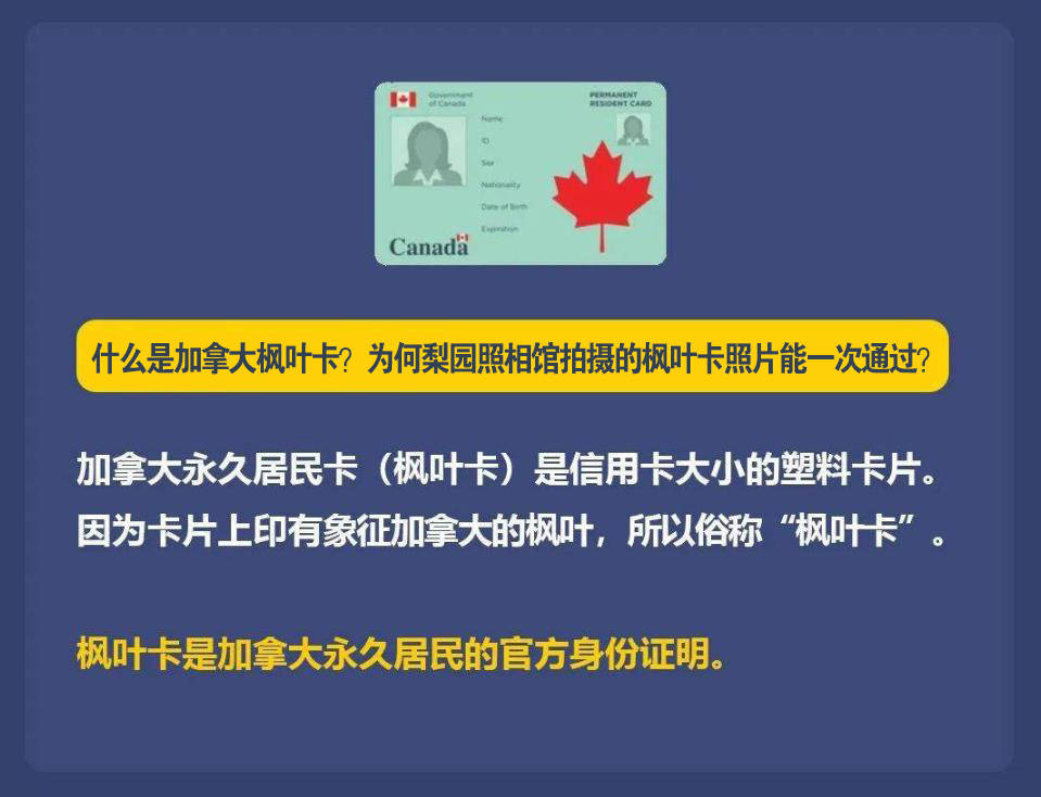 2021年8月楓葉卡申請進度_楓葉卡申請條件_申請楓葉卡