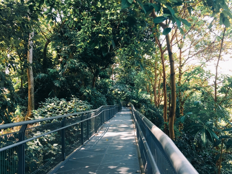 吉隆坡景區_吉隆坡湖濱公園_吉隆坡度假村