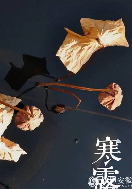 二十四節氣歌諺語_節氣諺語歌農民_24節節氣諺語歌