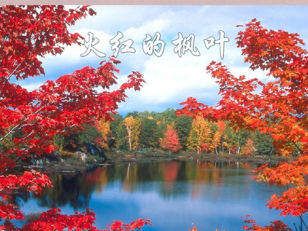 大連楓葉國際學校初中招生_大連楓葉國際學校初中部_大連楓葉國際學校初小校區