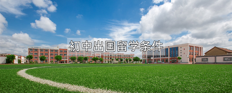初中生怎么出國留學(xué)_出國留學(xué)初中生申請_出國留學(xué)初中生讀護(hù)士
