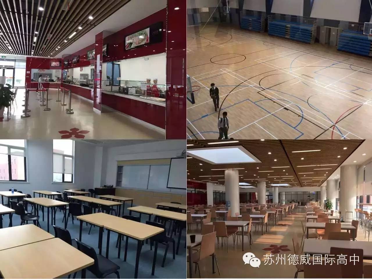 北京德威國際學校_北京德威國際學校_北京德威國際學校