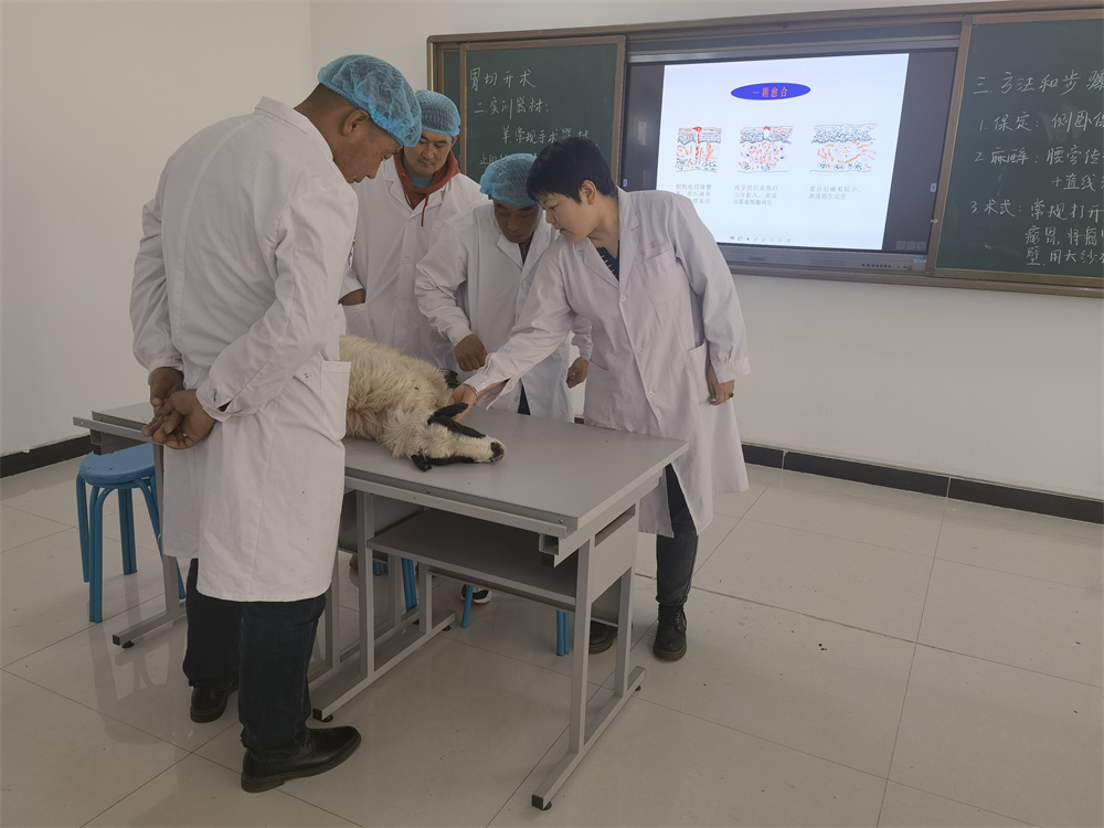 國外著名醫學院校_國外醫學名校_國外有名醫學院
