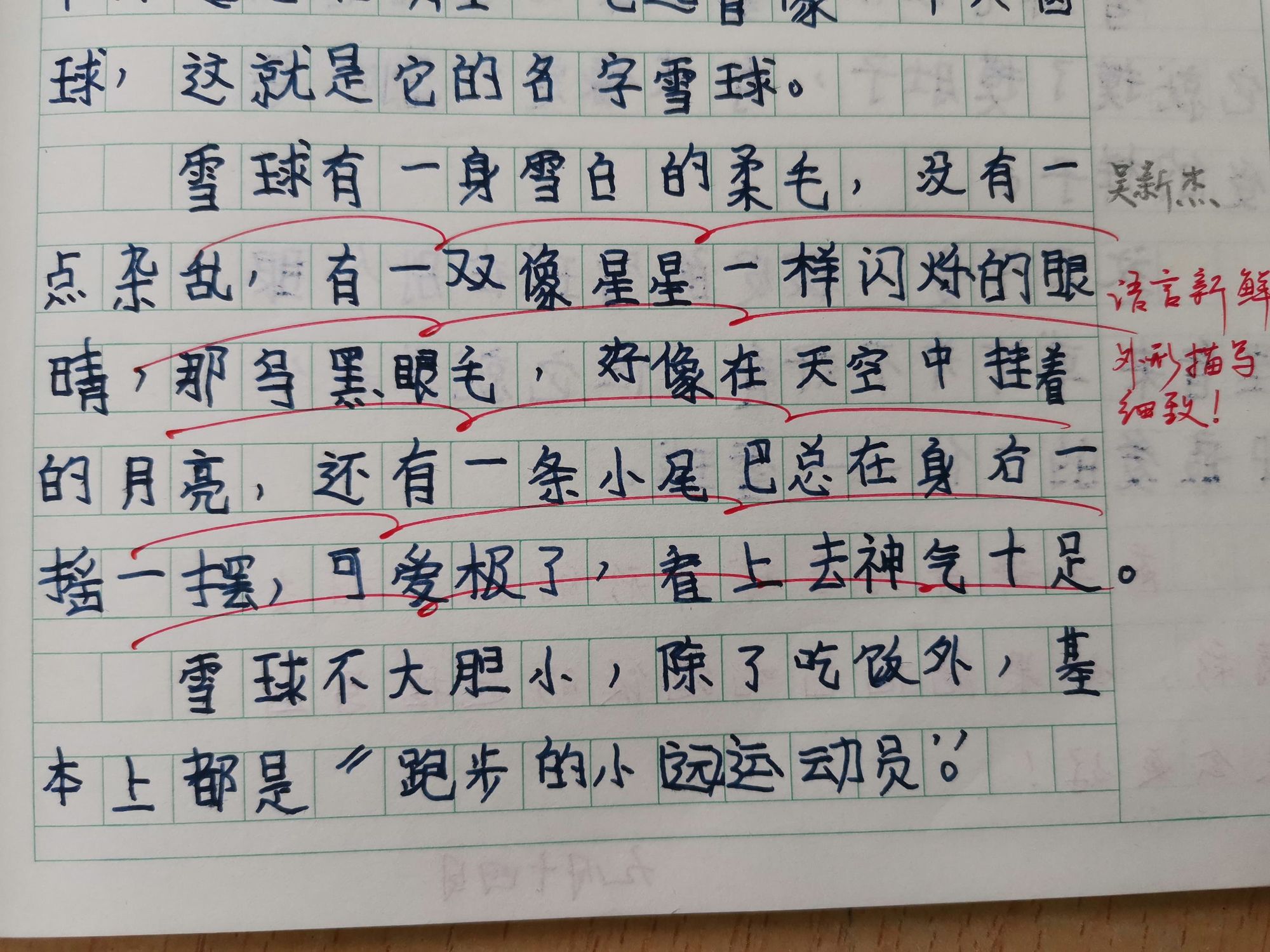 打雪仗優(yōu)秀作文600字_打雪仗作文_打雪仗作文600字