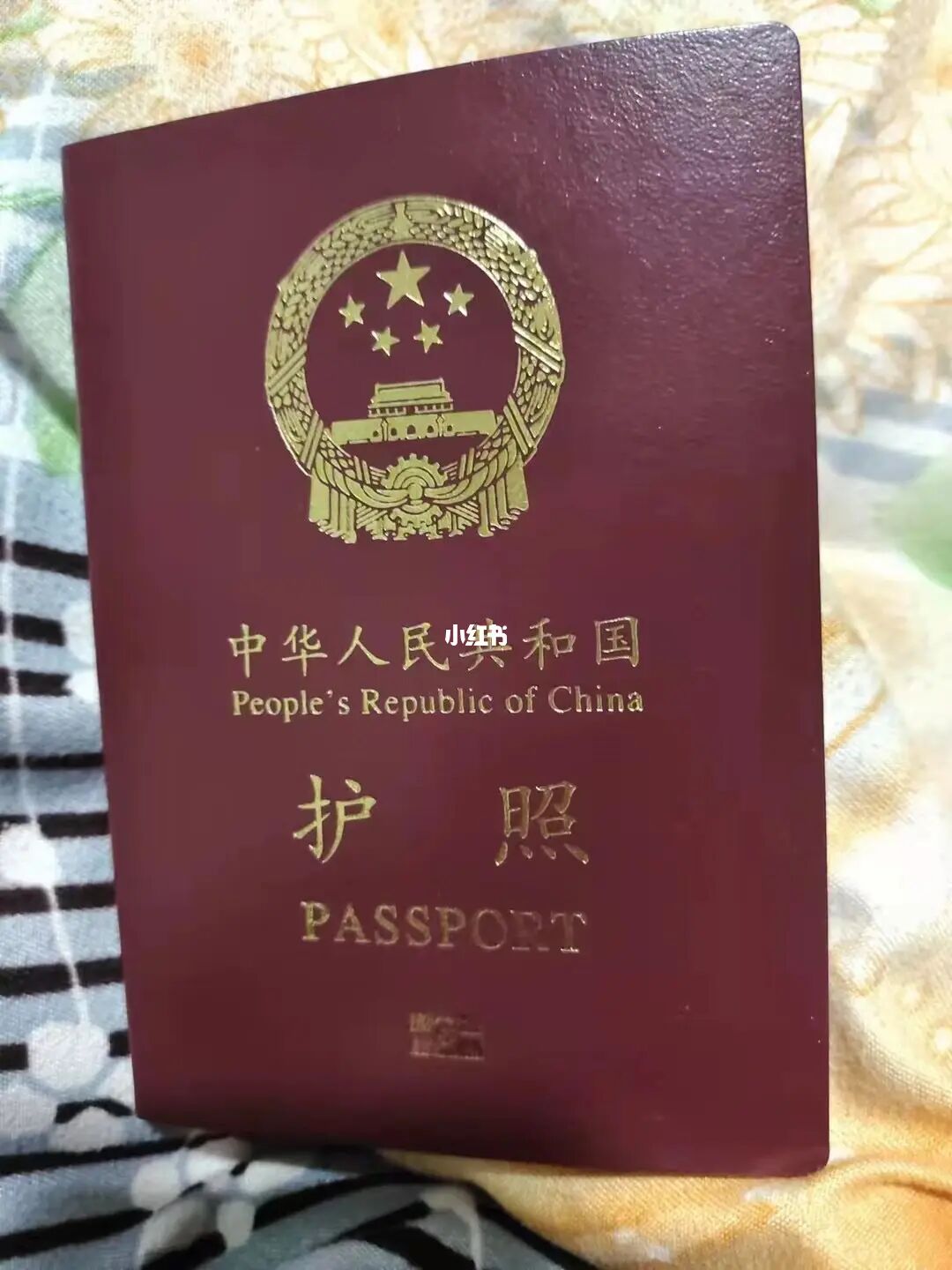 出國留學體檢地點查詢_出國留學體檢在哪兒體檢_出國留學體檢地點