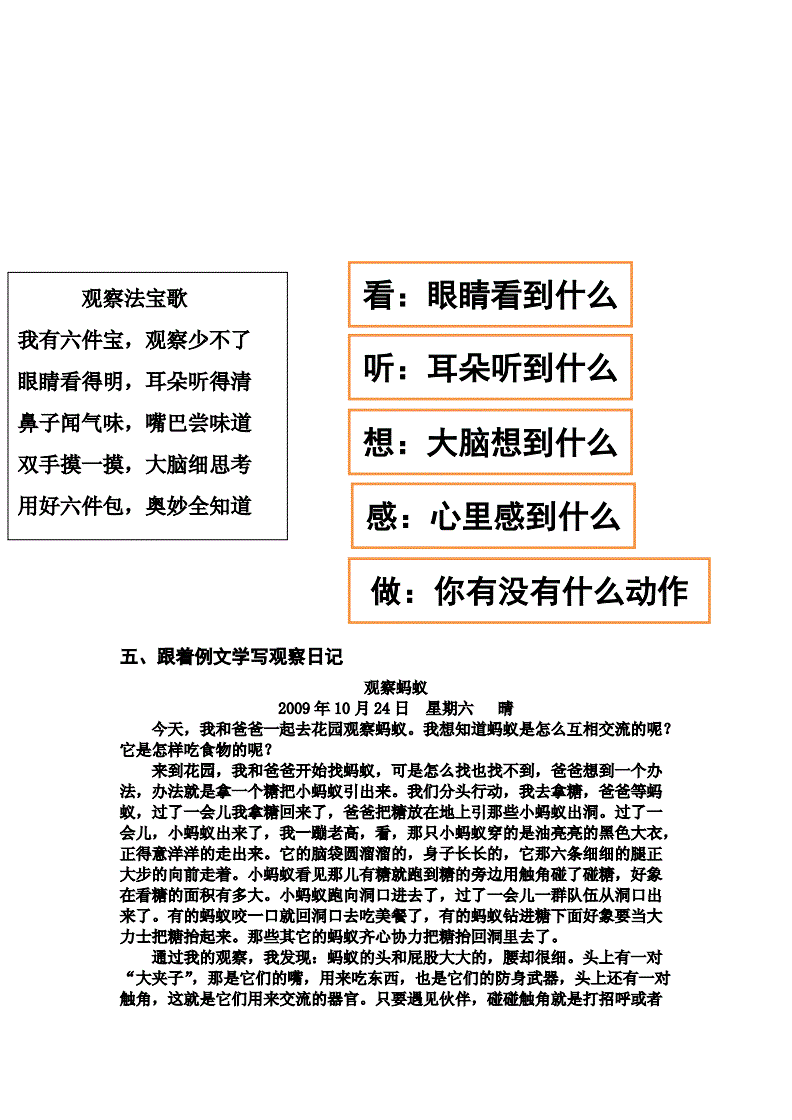 初一作文是多少字_初一作文是多少分_初一作文這就是我