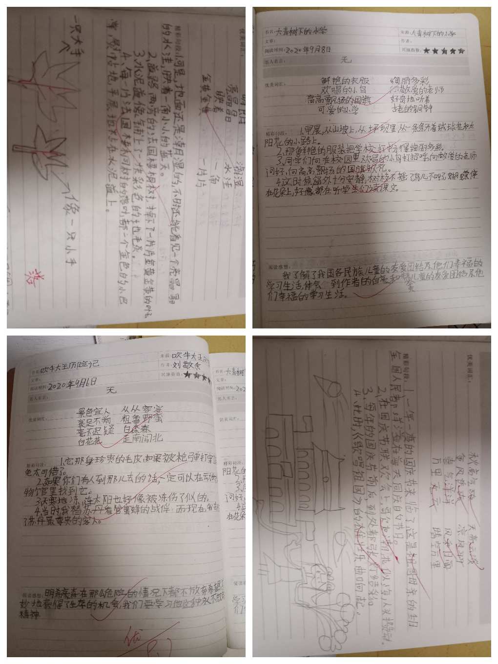 初一作文這就是我_初一作文是多少分_初一作文題目