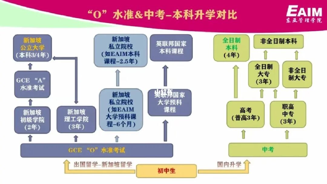 新加坡理工學院_新加坡理工學院qs_新加坡理工學院是大專嗎