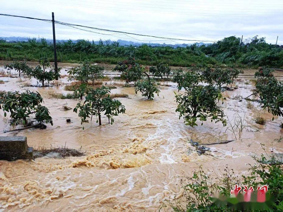 地震最新消息雅安地圖_雅安地震最新消息_地震最新消息雅安石棉