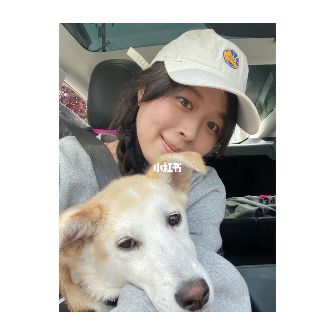 保姆狗的陰謀主讀后感50字_保姆狗的陰謀梗概_笑貓日記保姆狗的陰謀
