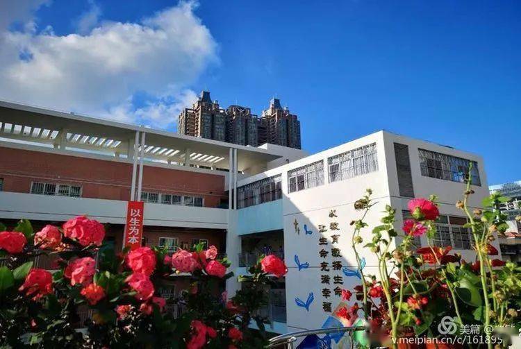 深圳外國語學校分校_深圳外國語國際學校電話_深圳外國語學校國際