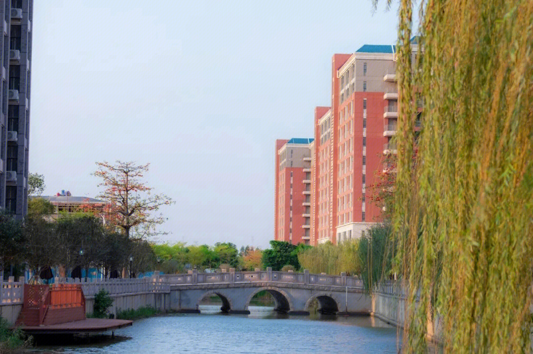 南昌大學錄取分數線_南昌錄取分數線大學生_南昌錄取分數線大學排名