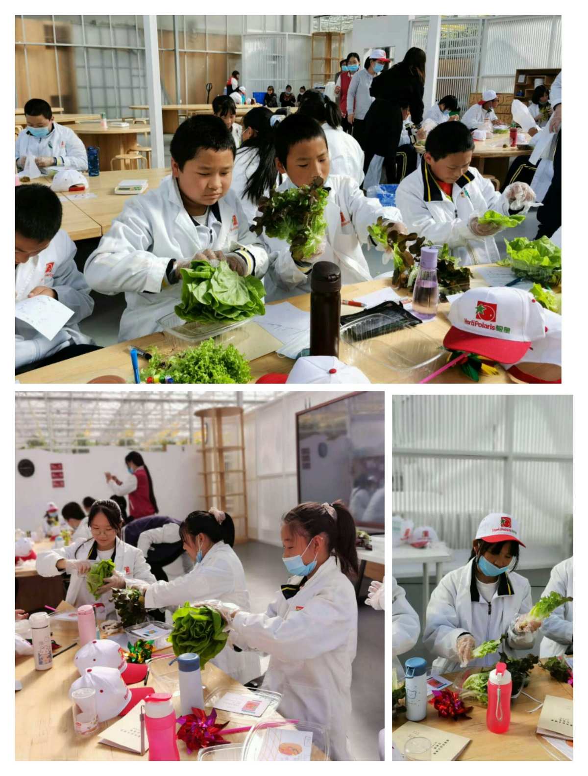德克薩斯大學_德克薩斯大學好嗎_德克薩斯大學校訓