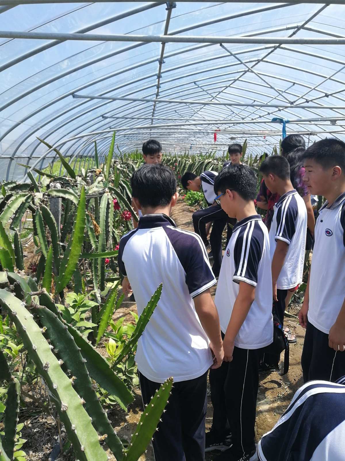 德克薩斯大學好嗎_德克薩斯大學_德克薩斯大學校訓