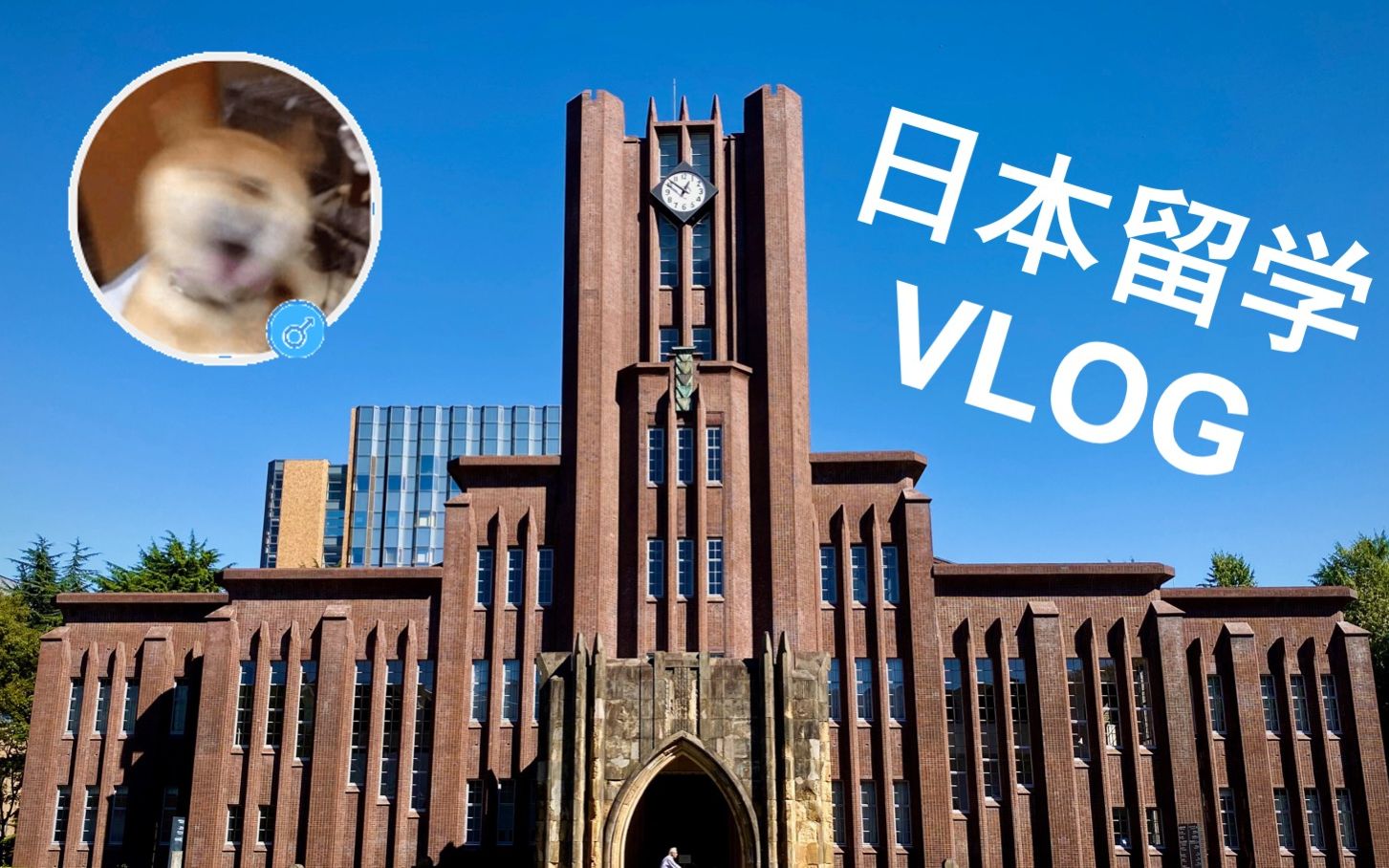 留學東京大學條件要求_東京大學留學的條件和要求_東京大學留學條件