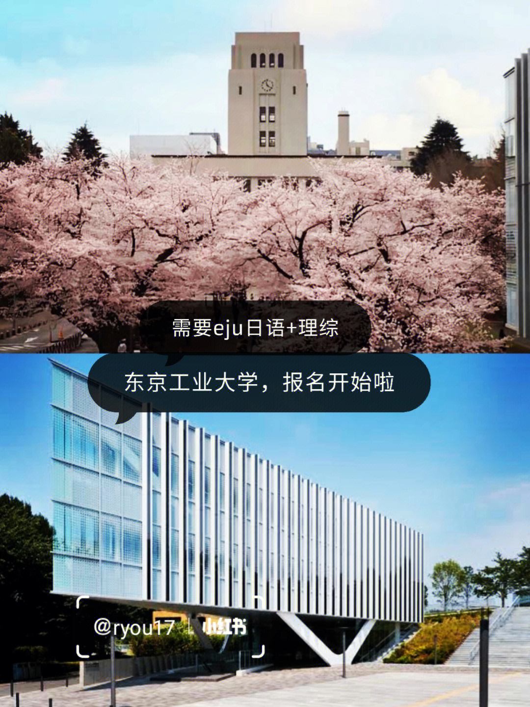 東京排名大學世界第幾_東京大學世界排名_東京大學世界排名多少
