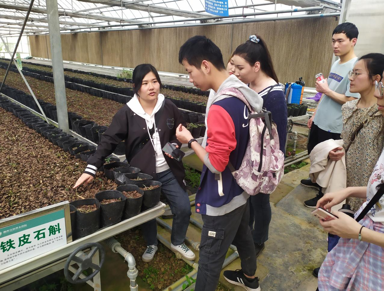 愛爾蘭留學網_留學愛爾蘭網站推薦_愛爾蘭留學信息網