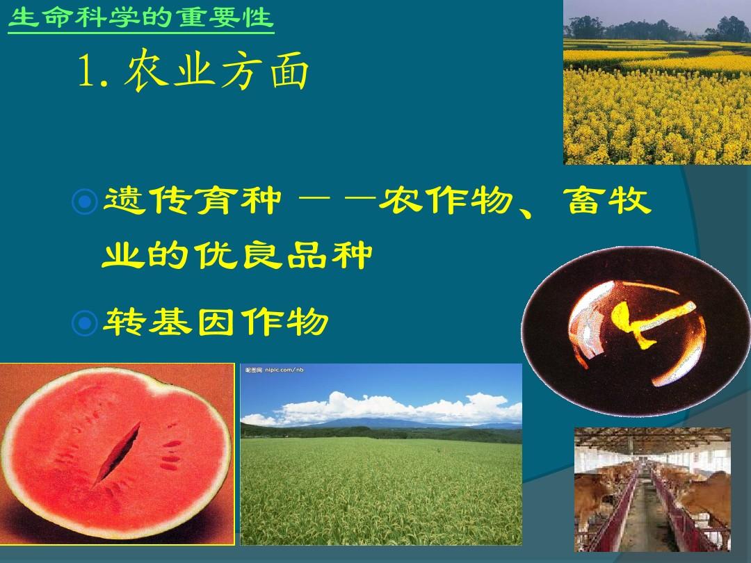 2023四川農(nóng)業(yè)大學(xué)研究生院最新要求_四川農(nóng)業(yè)大學(xué)農(nóng)學(xué)院研究生_四川農(nóng)業(yè)大學(xué)農(nóng)業(yè)研究生