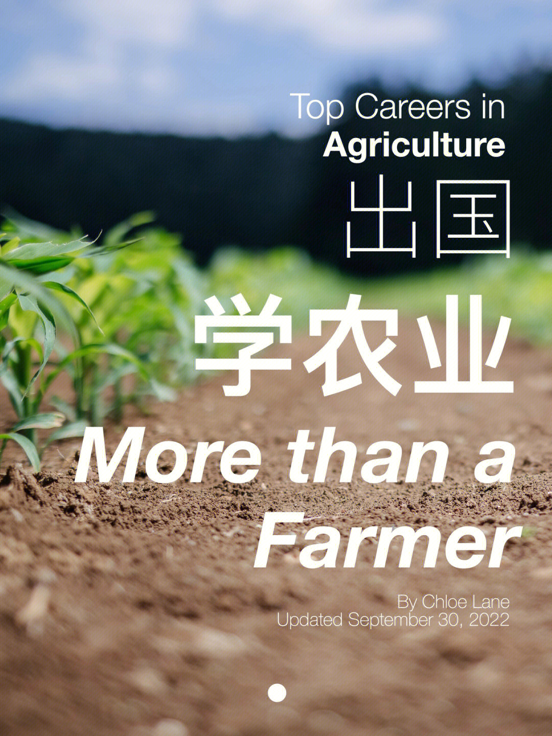 法國(guó)大學(xué)專業(yè)排行_法國(guó)大學(xué)專業(yè)推薦_法國(guó)大學(xué)專業(yè)
