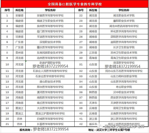 留學(xué)本科預(yù)科是什么意思_預(yù)科留學(xué)本科_留學(xué)本科預(yù)科班