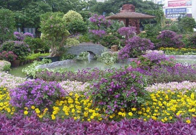 園藝學專業大學排名_園藝專業學什么_園藝學專業排名