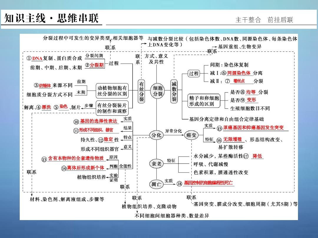 細胞的旅行_細胞的旅程_神秘的旅行細胞內部之旅