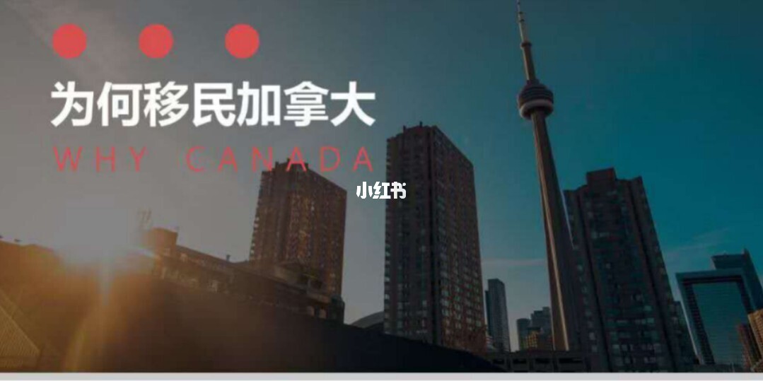 移民加拿大咨詢服務合同怎么寫_加拿大移民公司免費咨詢_加拿大移民咨詢